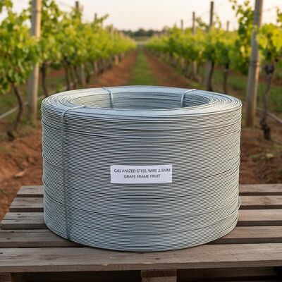 2.5mm Hot-Dipped Galvanized Steel Wire for Grape Frame Fruit and Industrial Use